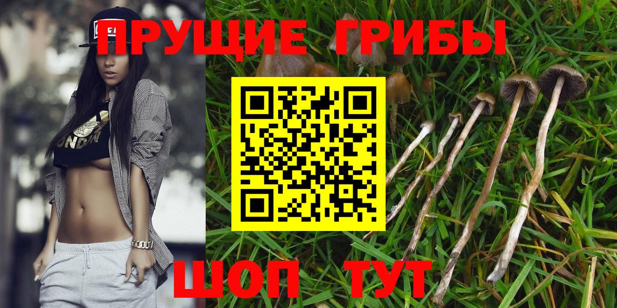 Уссурийск  Галлюциногенные грибы прущие грибы  Вход с VPN 