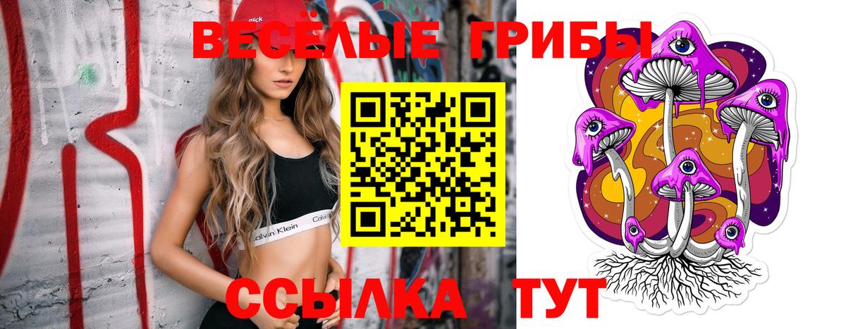 Псилоцибиновые грибы Psilocybine cubensis Уссурийск